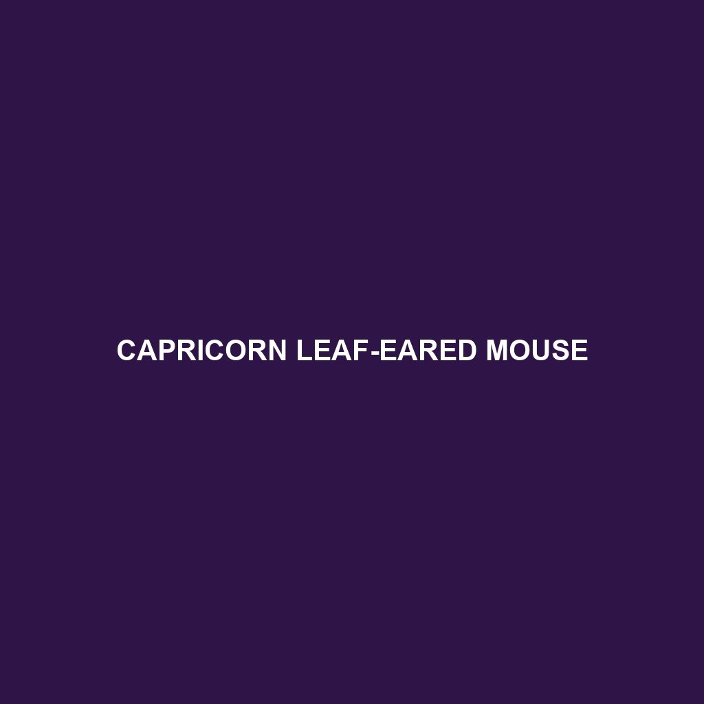 Capricorn Leaf-eared Mouse