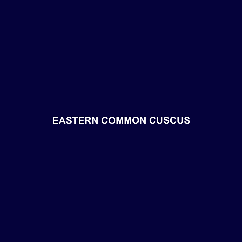 Eastern Common Cuscus