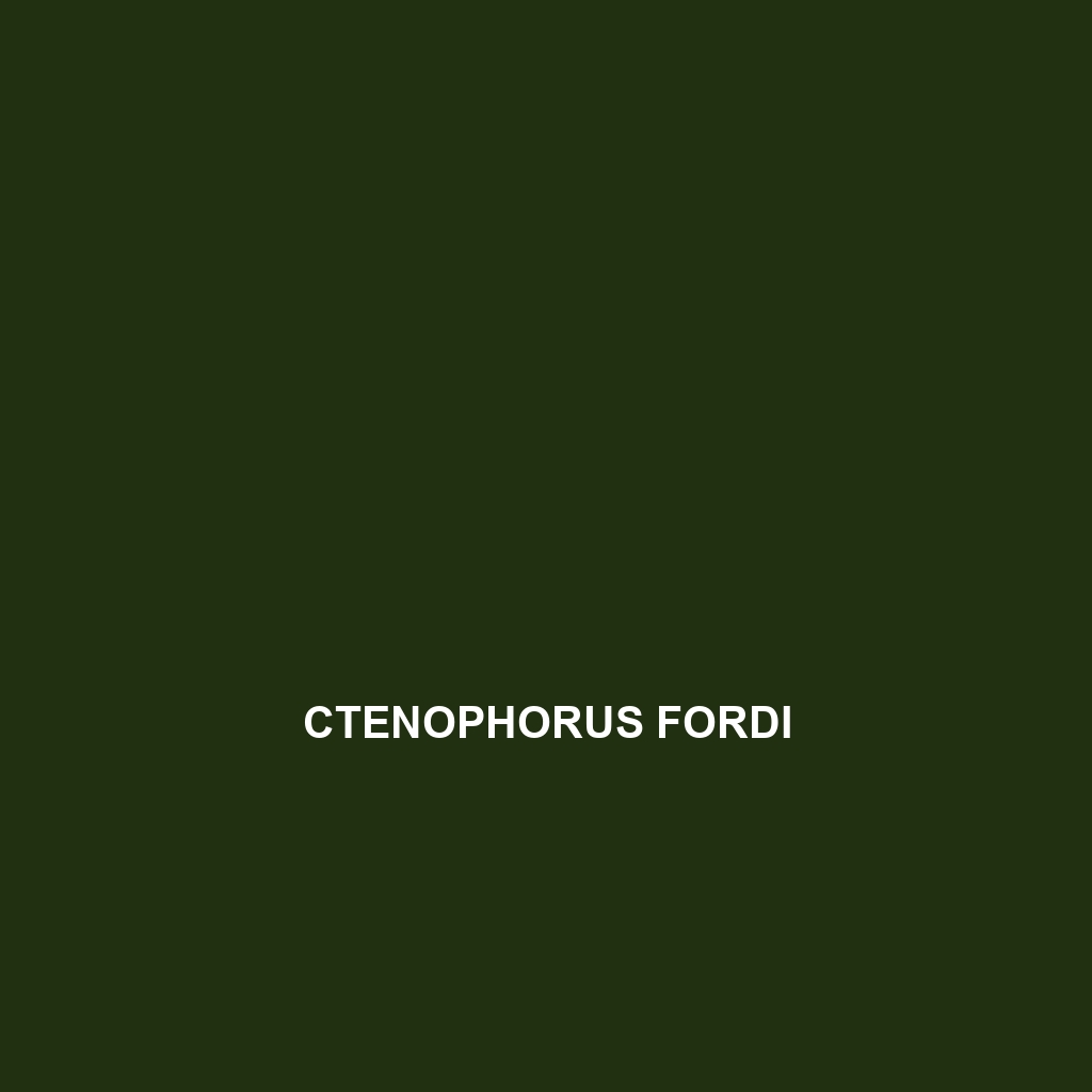 Ctenophorus fionni