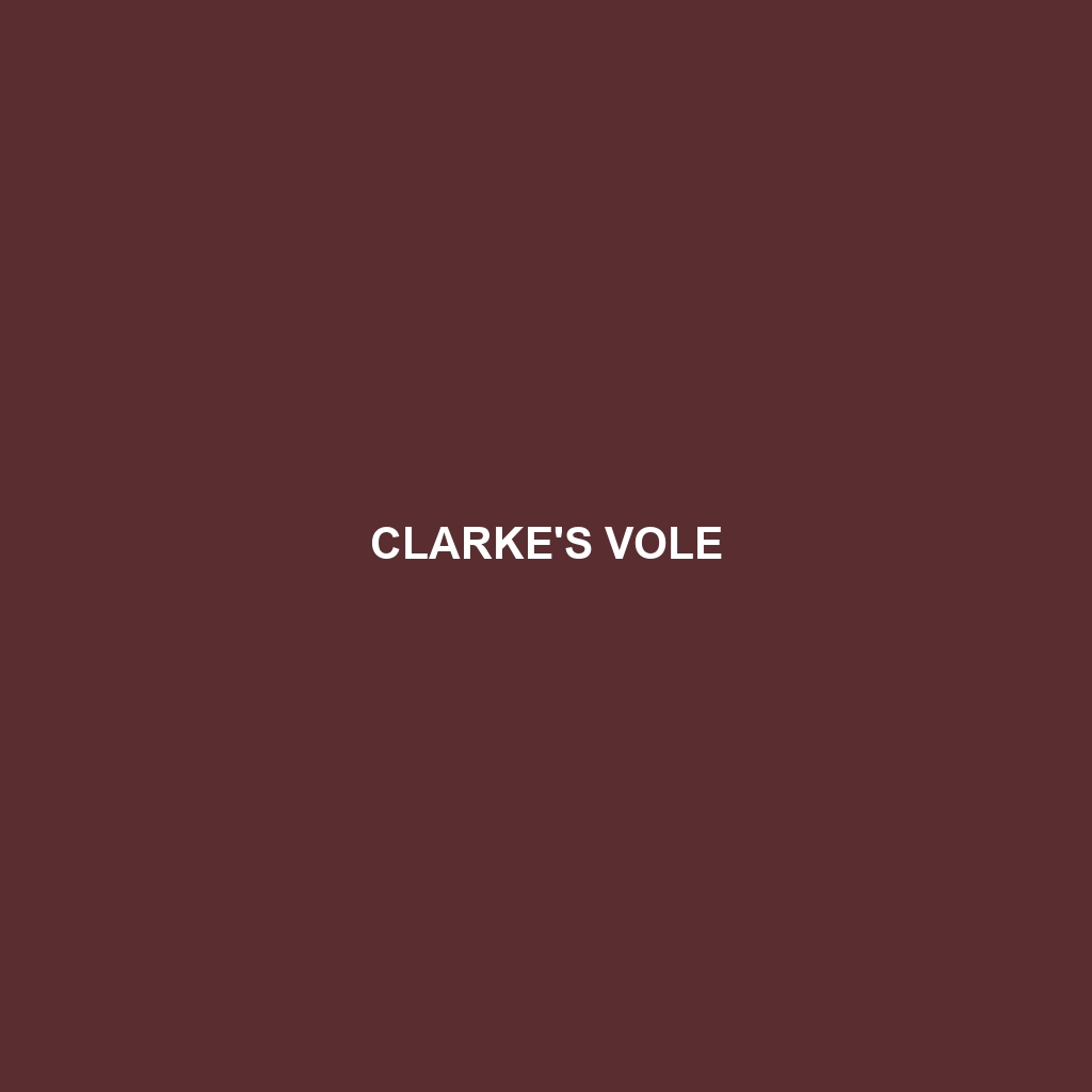 Clarke's Vole