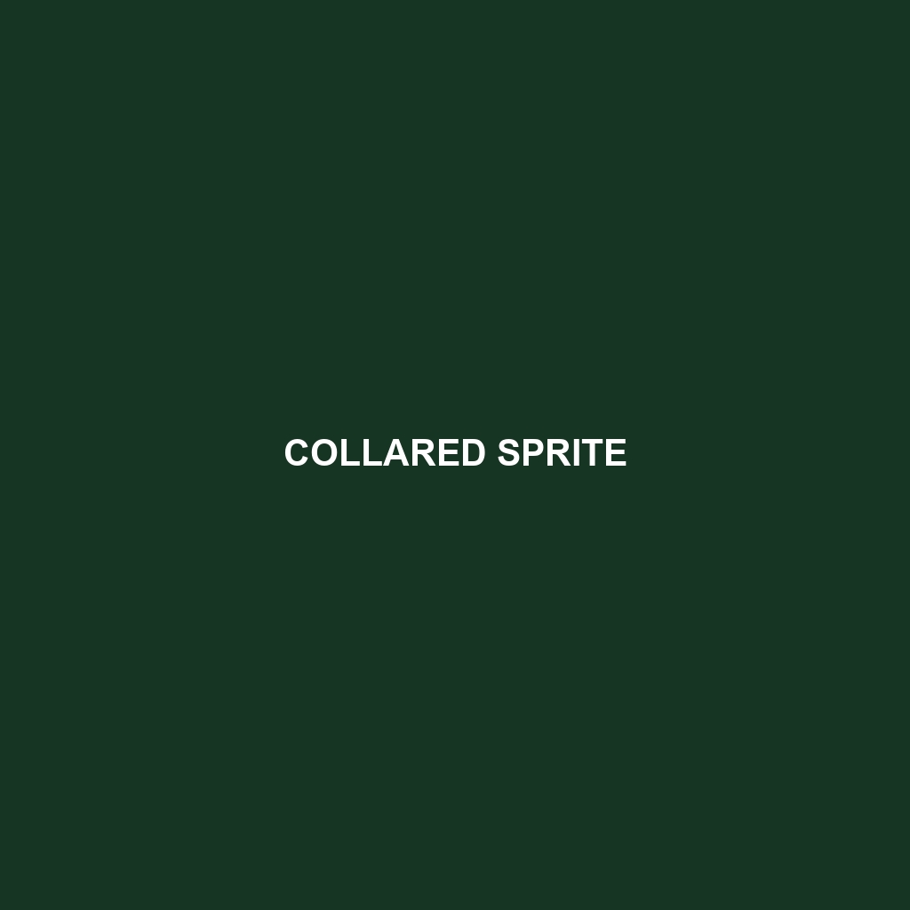 Collared Sprite