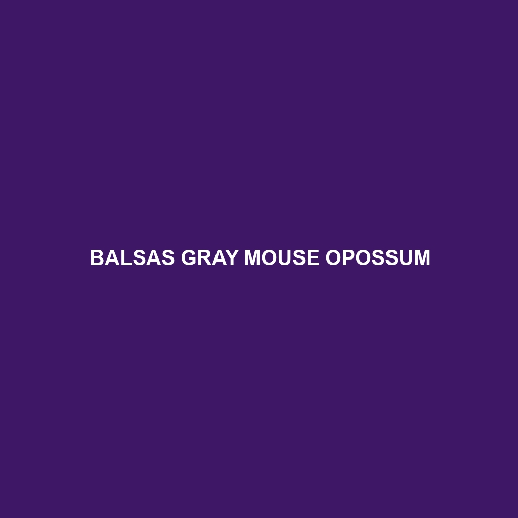 Balsas Gray Mouse Opossum