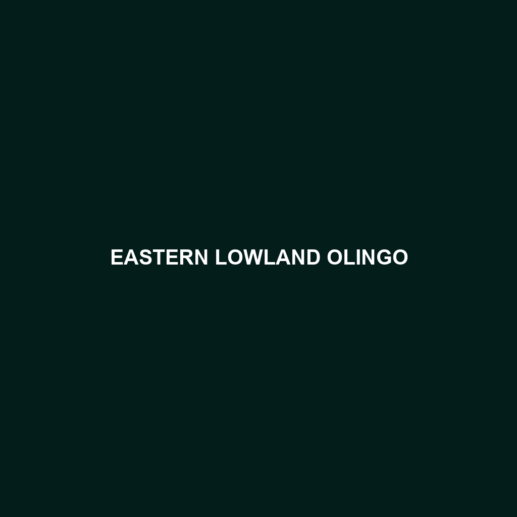 Eastern Lowland Olingo