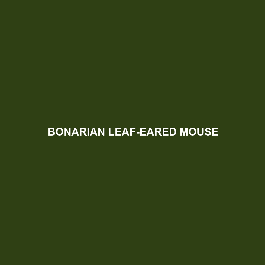 Bonarian Leaf-eared Mouse