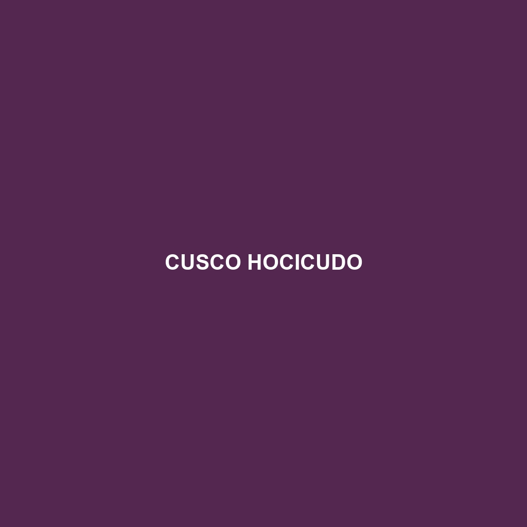 Cusco Hocicudo