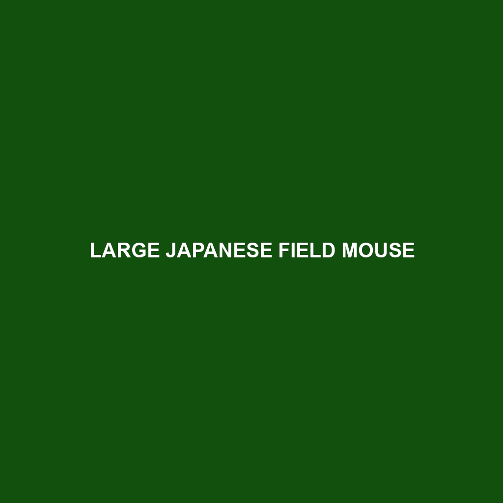 Large Japanese Field Mouse