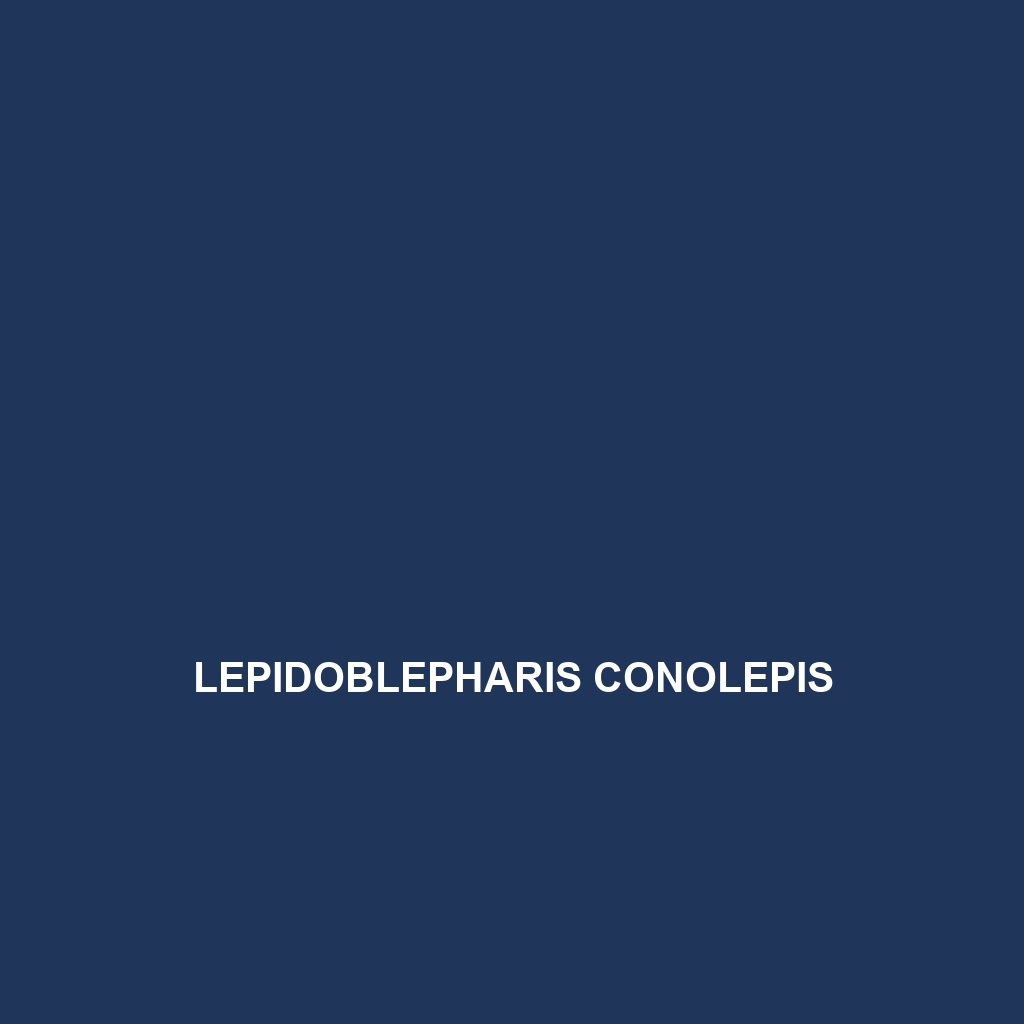 Lepidoblepharis conolepis