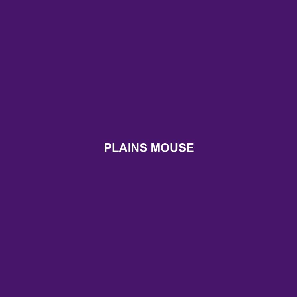 Plains Mouse