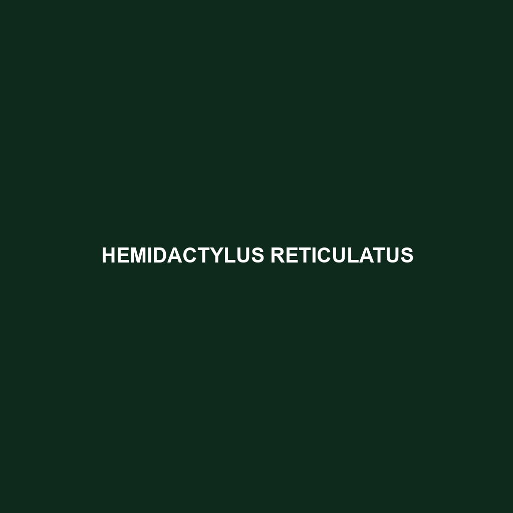 Hemidactylus reticulatus