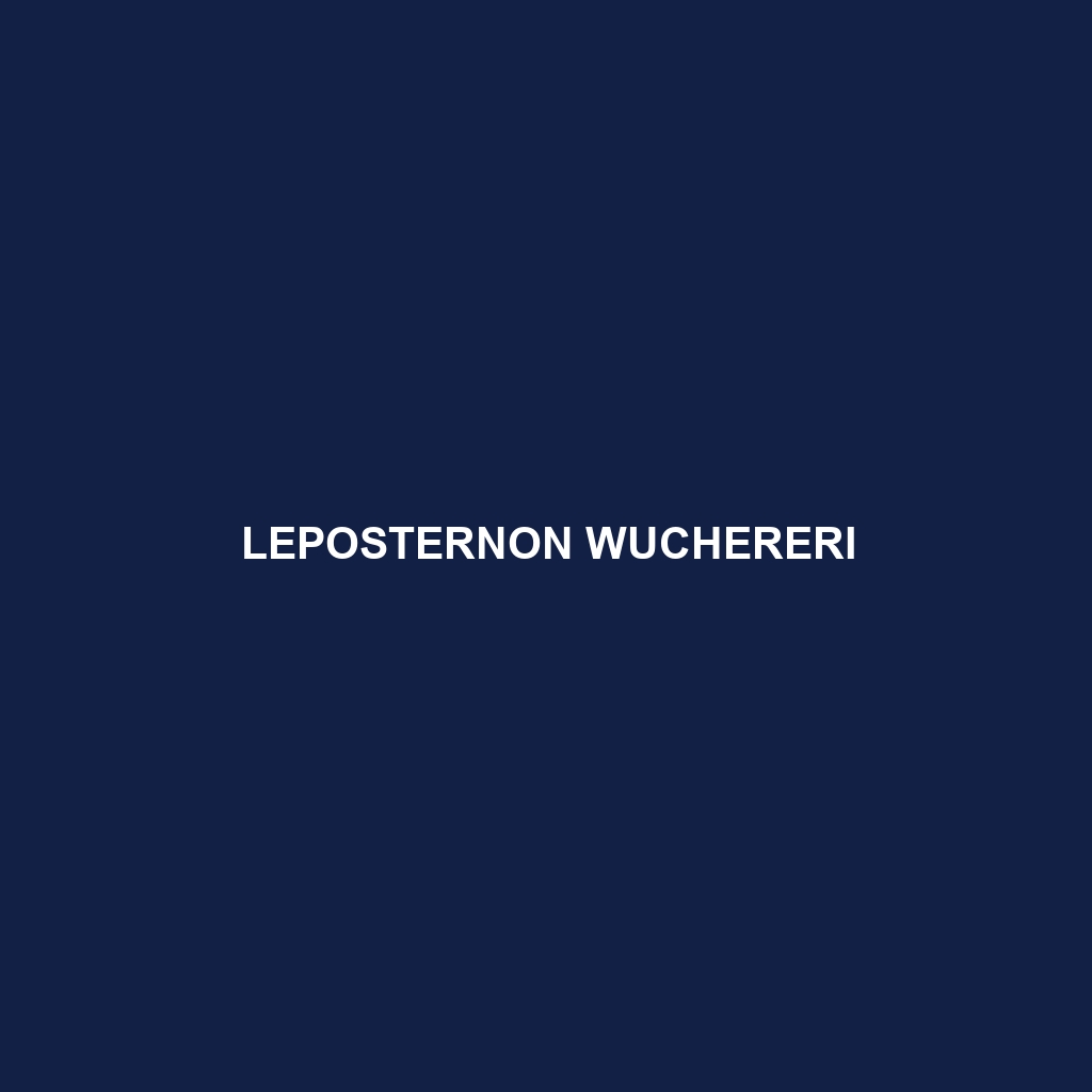 Leposternon wuchereri