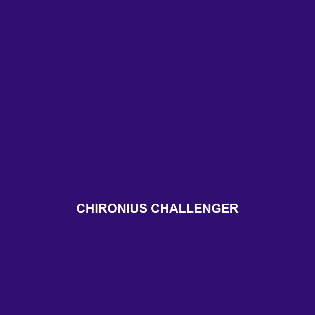 Chironius challenger