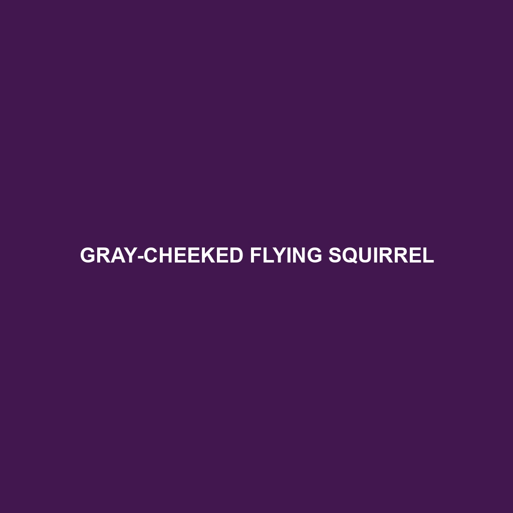 Gray-cheeked Flying Squirrel