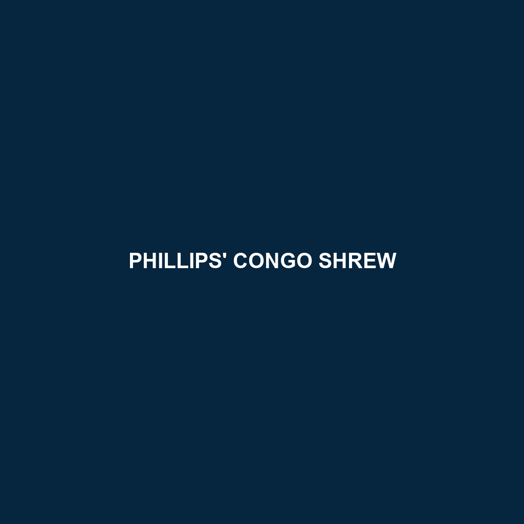 Phillips' Congo Shrew