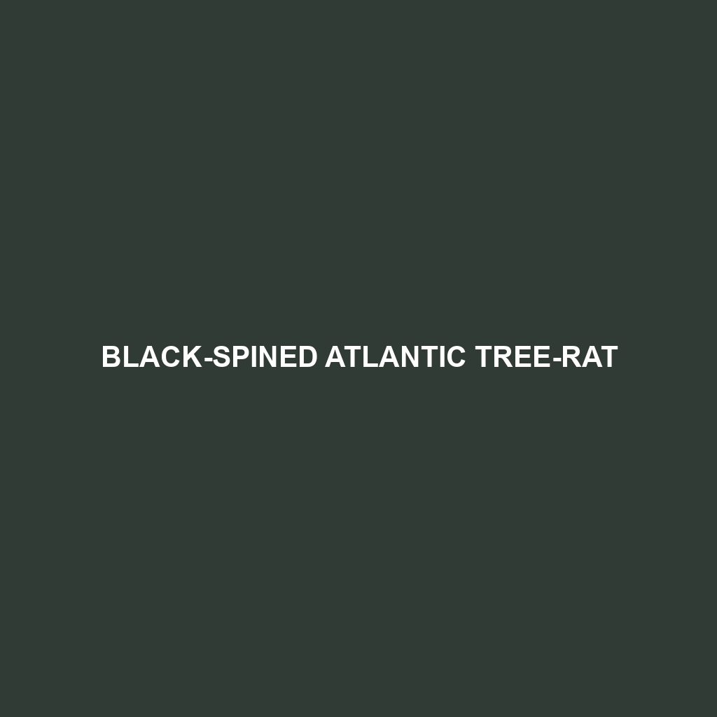 Patton's Atlantic Tree-rat