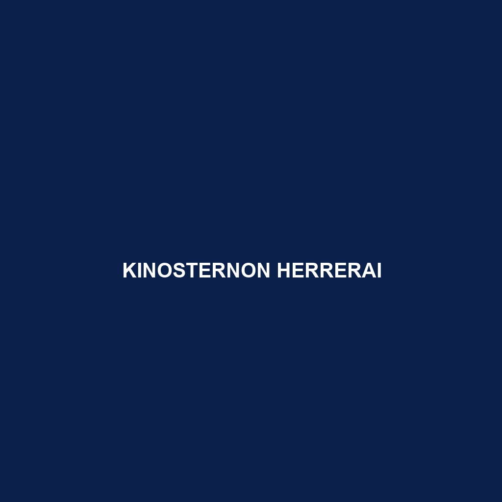 Kinosternon herrerai