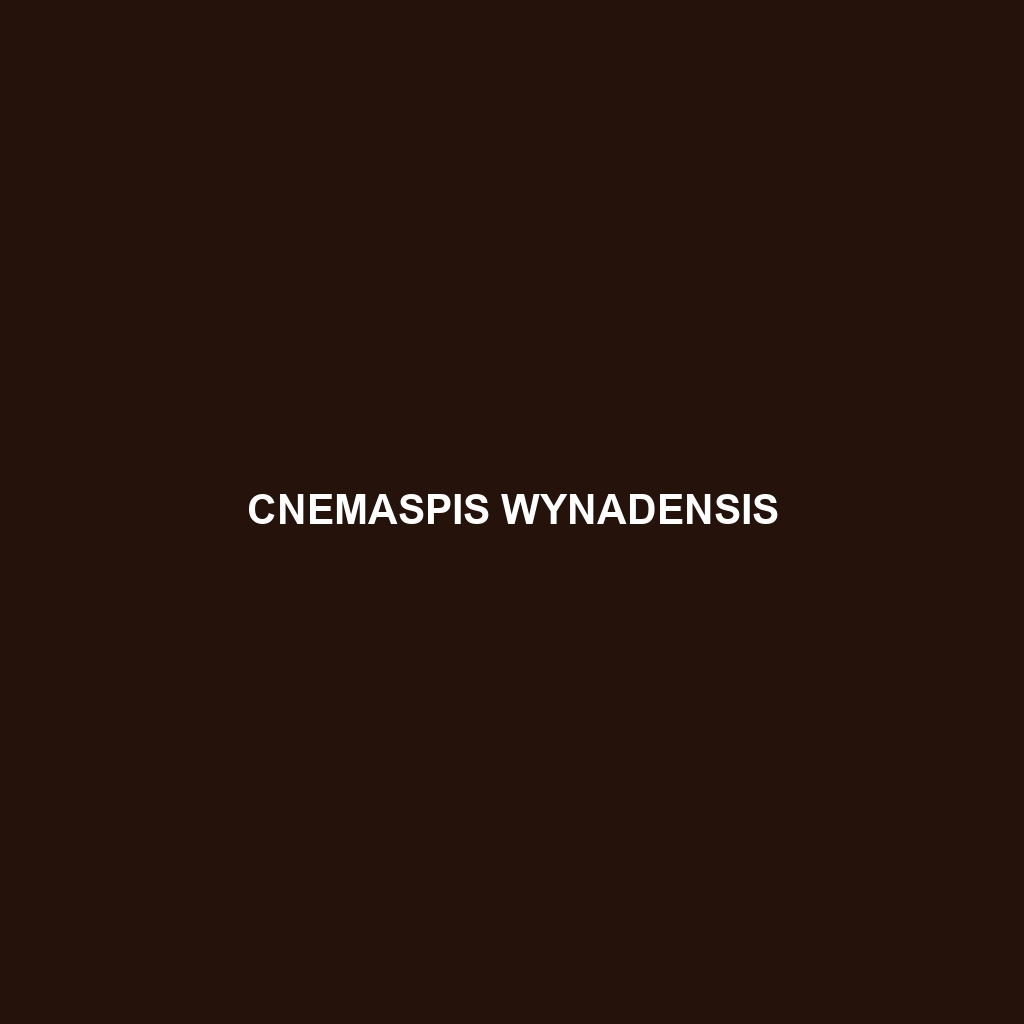 Cnemaspis wynadensis