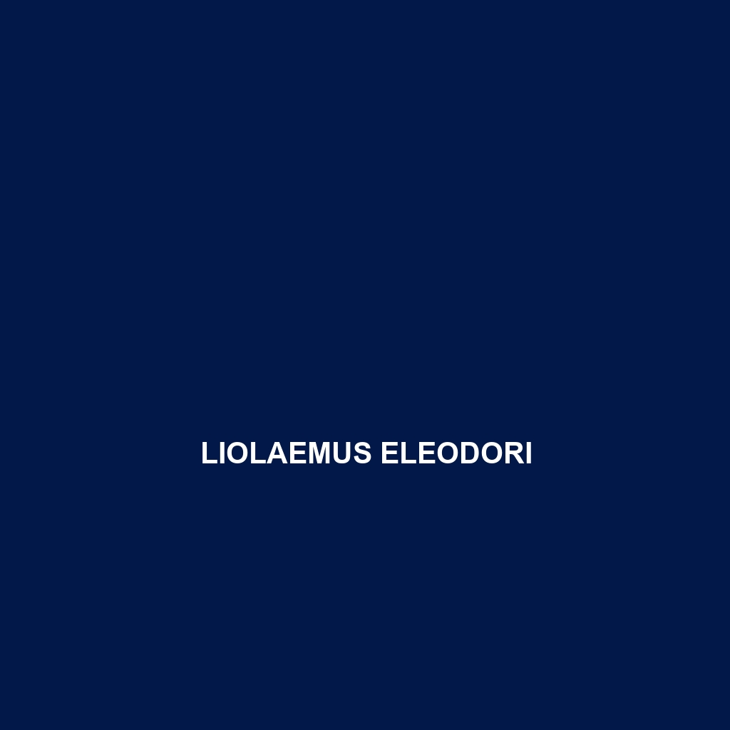 Liolaemus eleodori