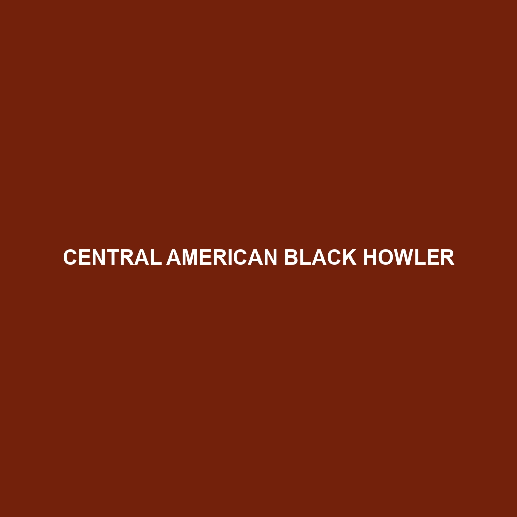 Central American Black Howler