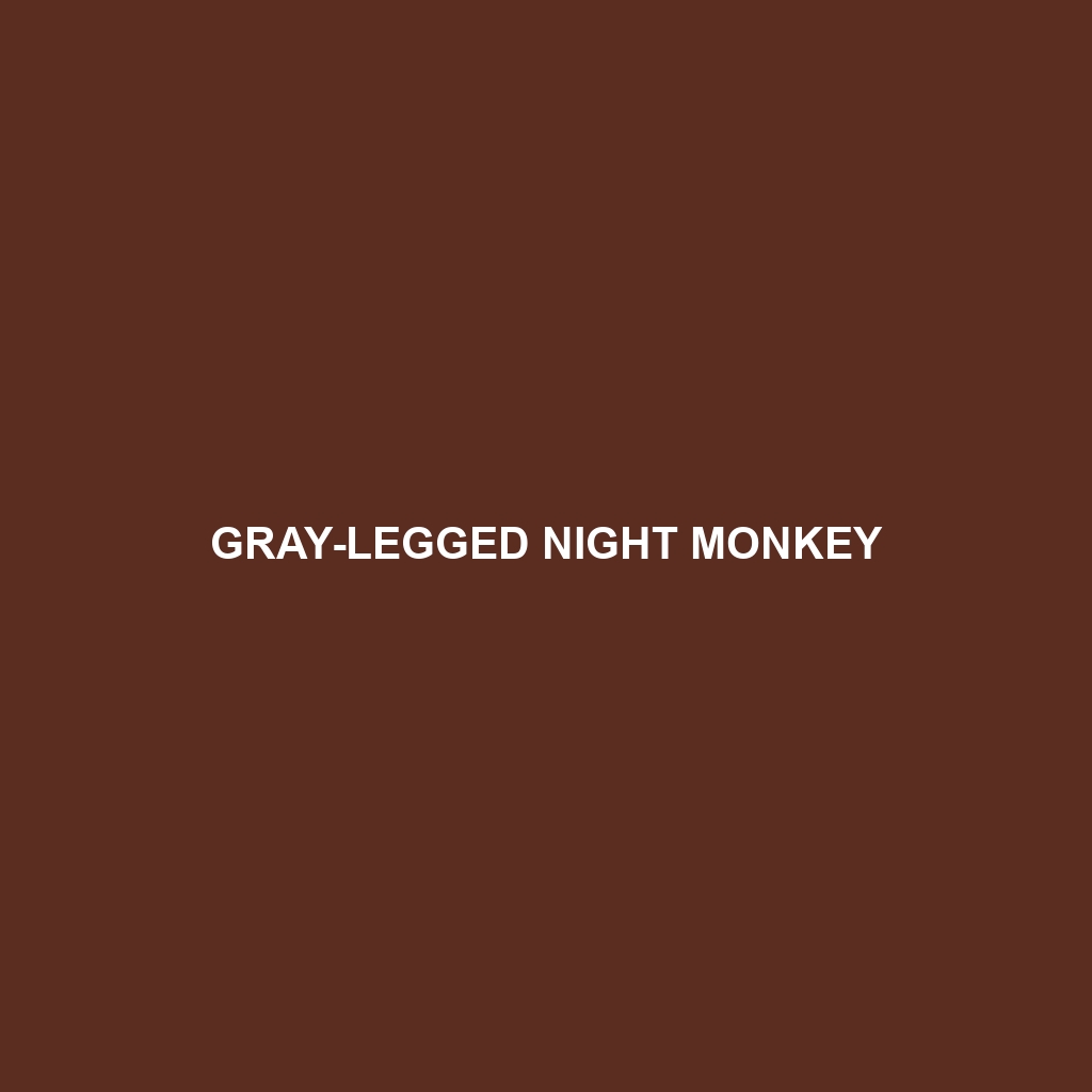 Gray-legged Night Monkey