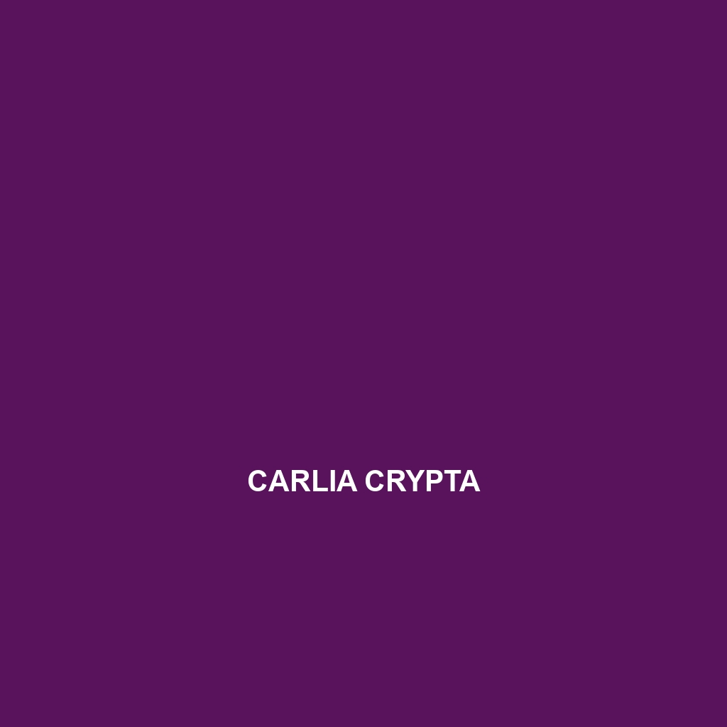 Carlia caesius