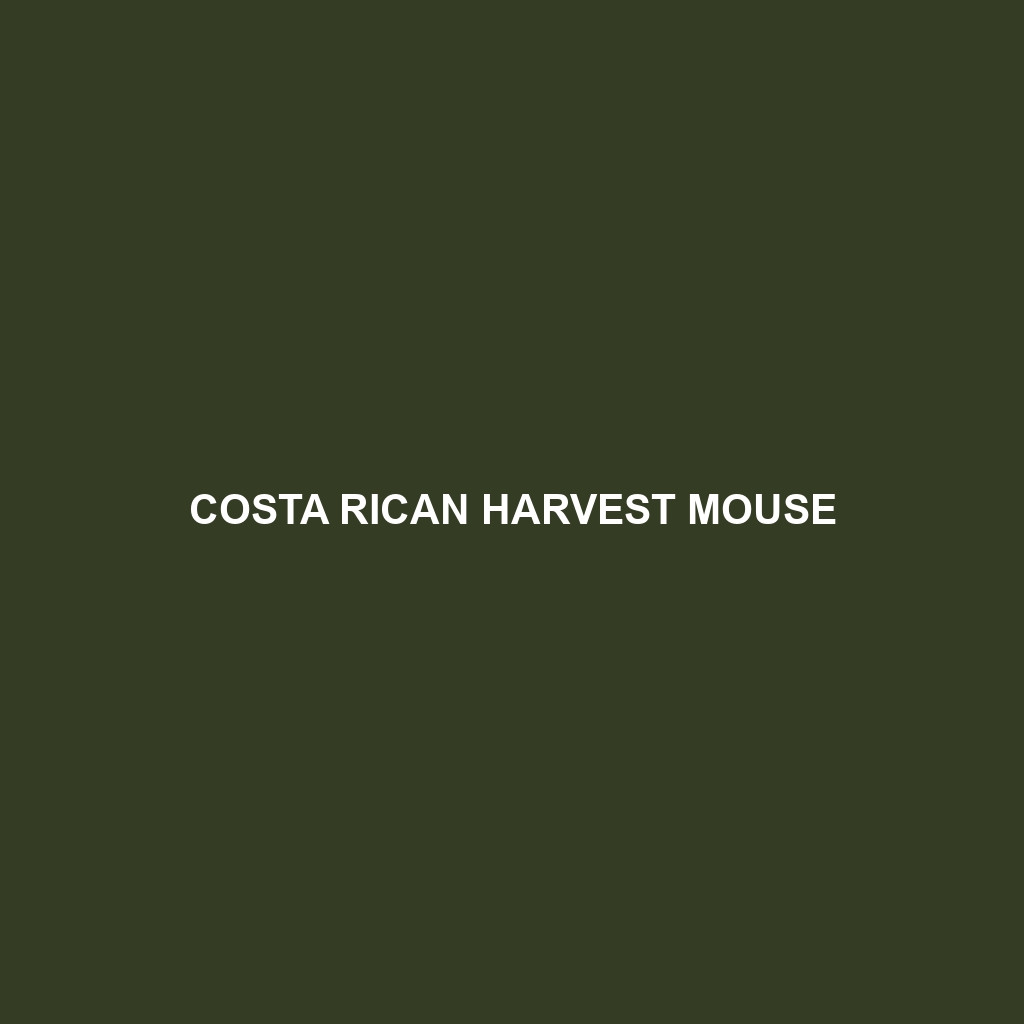 Costa Rican Harvest Mouse