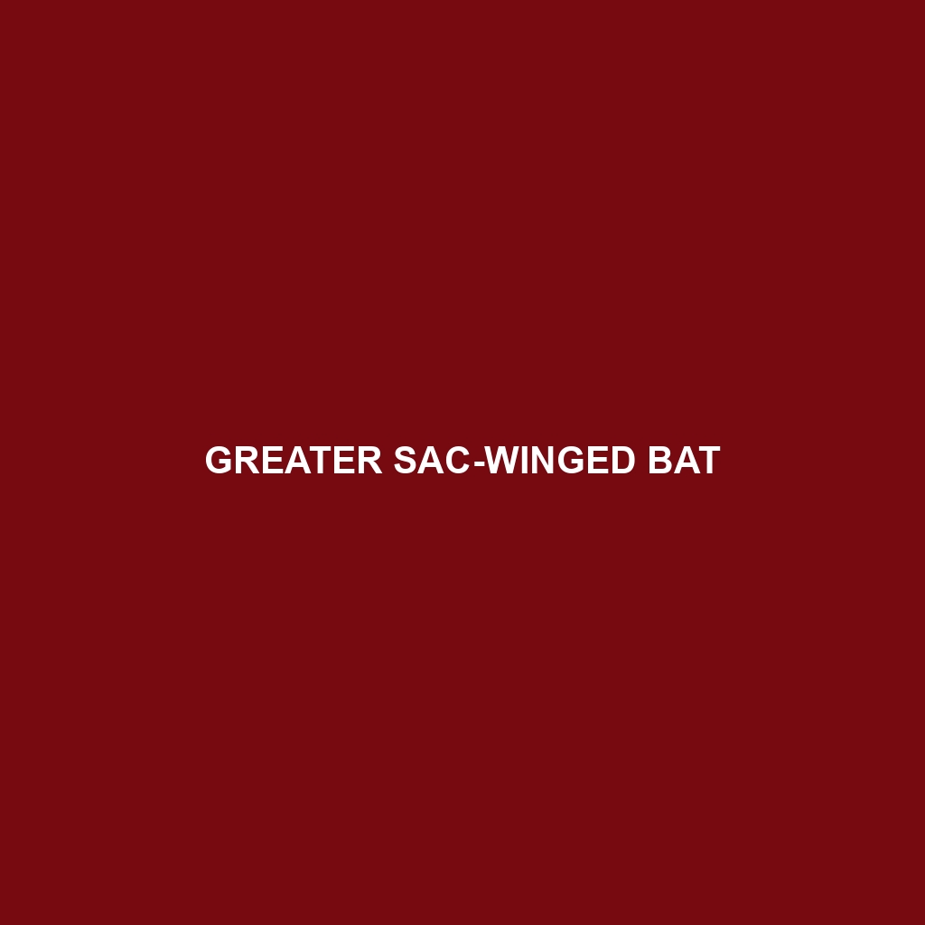 Greater Sac-winged Bat