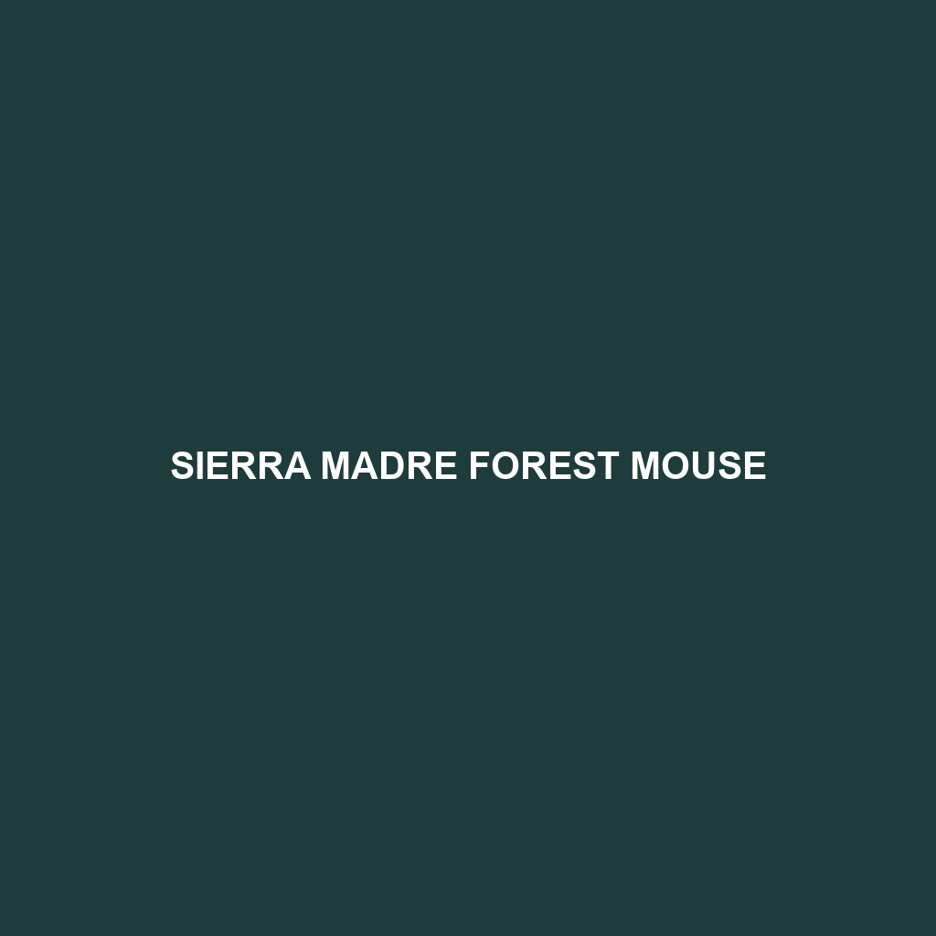 Sierra Madre Forest Mouse