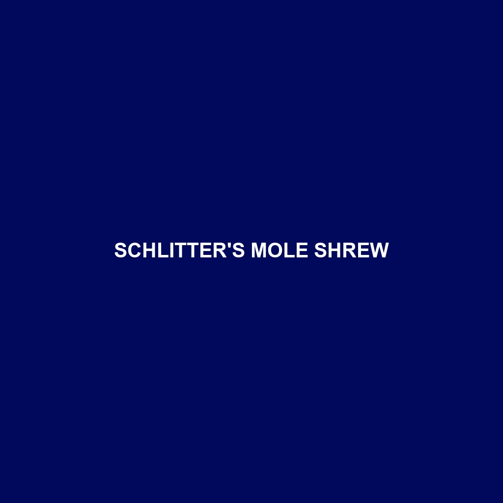 Schlitter's Mole Shrew