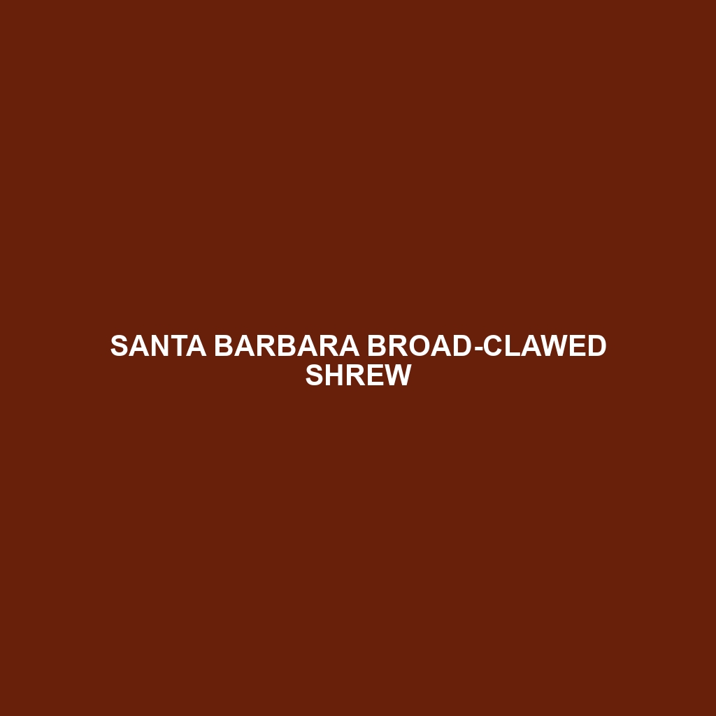 Santa Barbara Broad-clawed Shrew