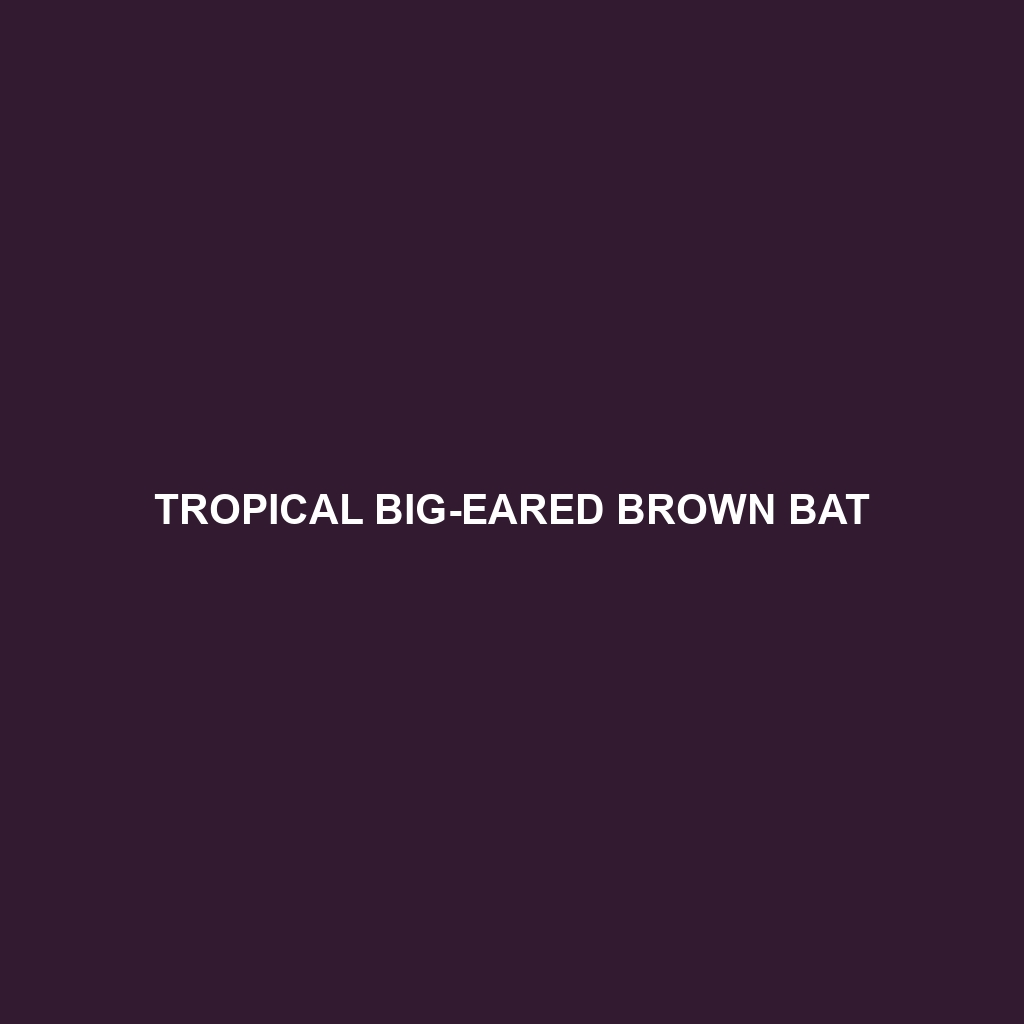 Tropical Big-eared Brown Bat