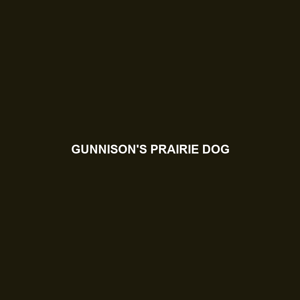 Gunnison's Prairie Dog