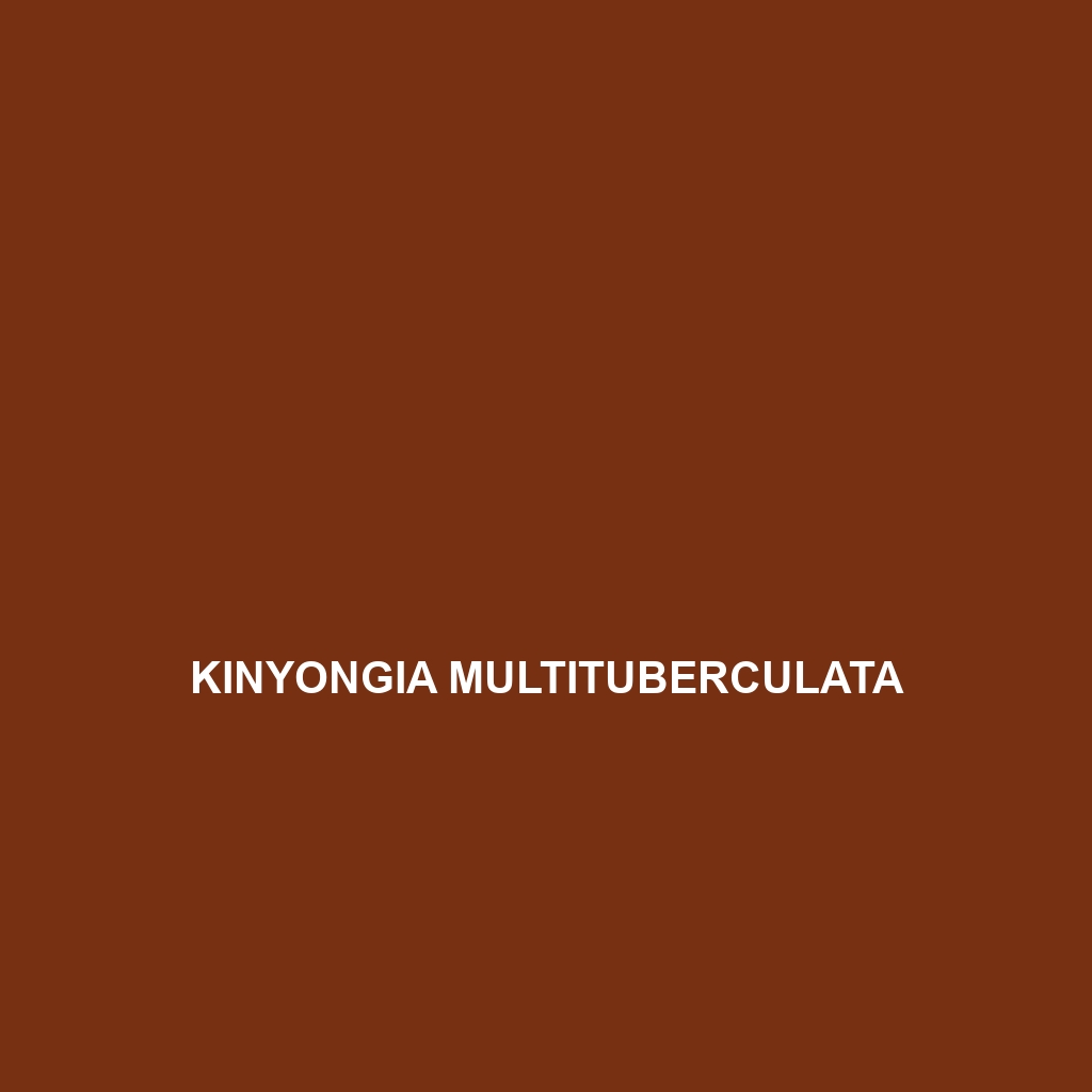 Kinyongia multituberculata