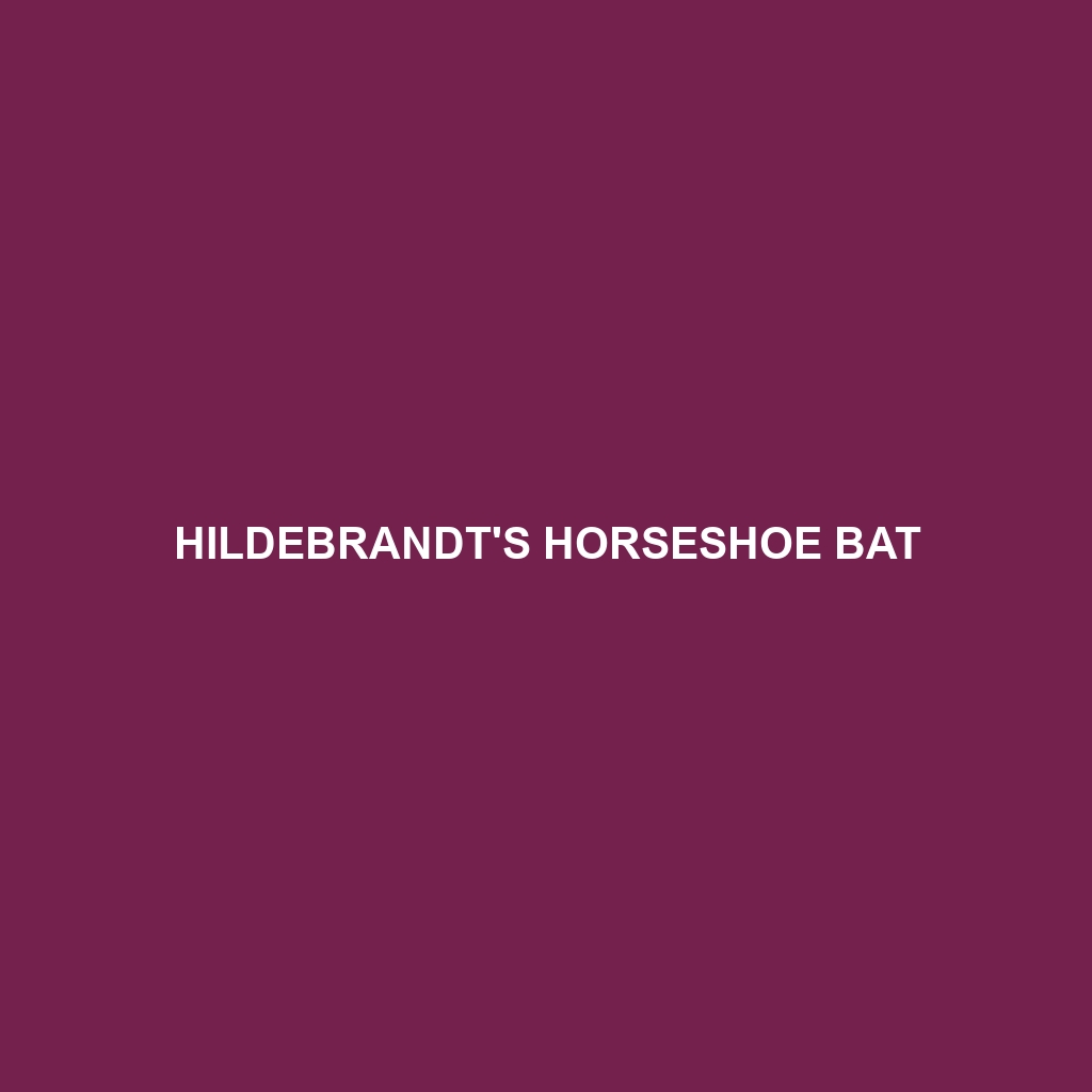 Hildebrandt's Horseshoe Bat