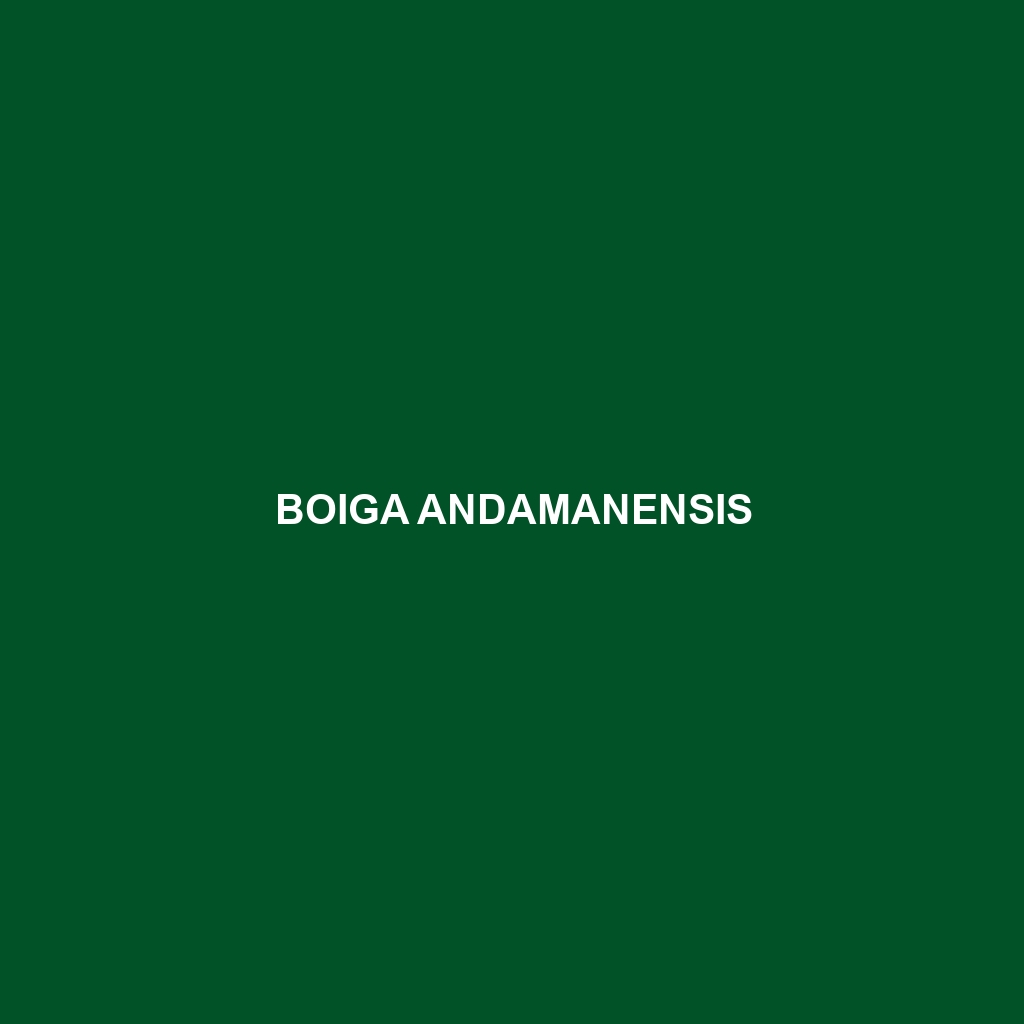 Boiga andamanensis