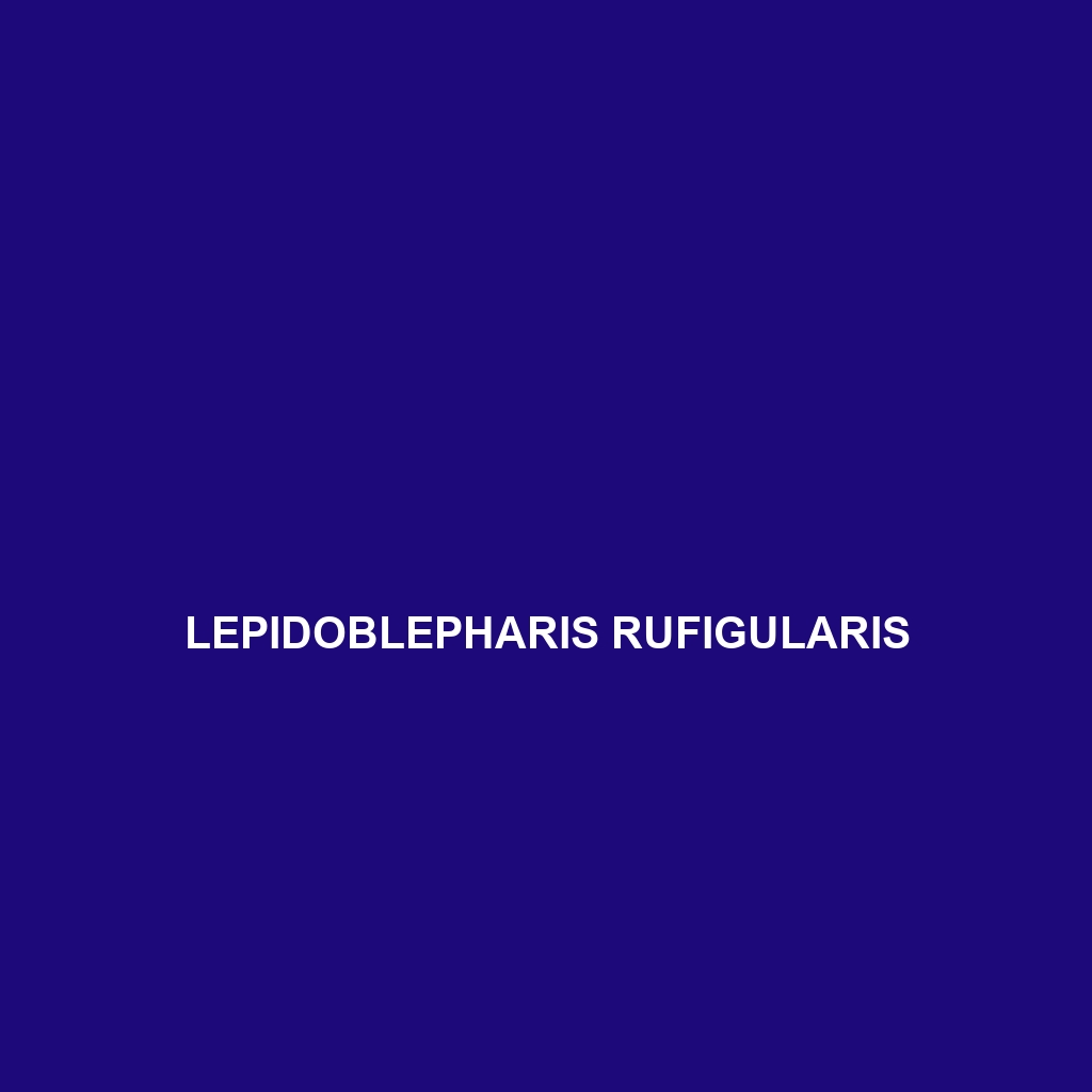 Lepidoblepharis rufigularis