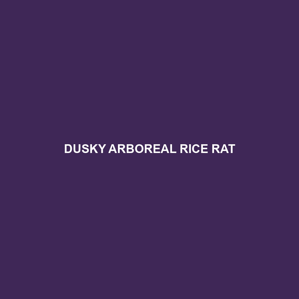 Dusky Arboreal Rice Rat