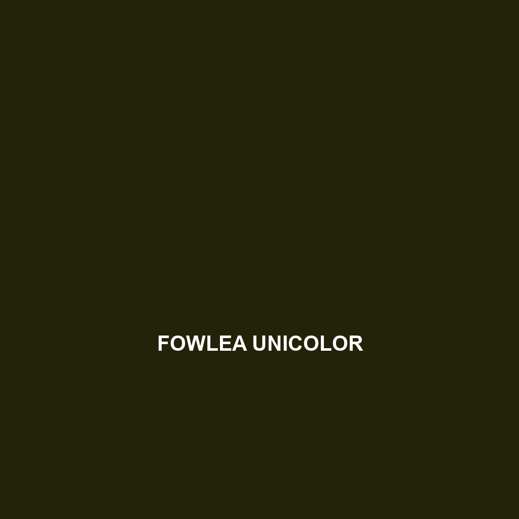 Fowlea unicolor