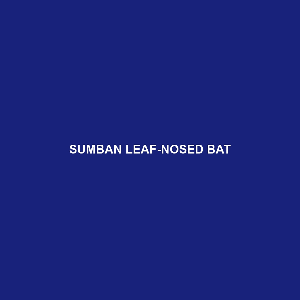 Sumban Leaf-nosed Bat