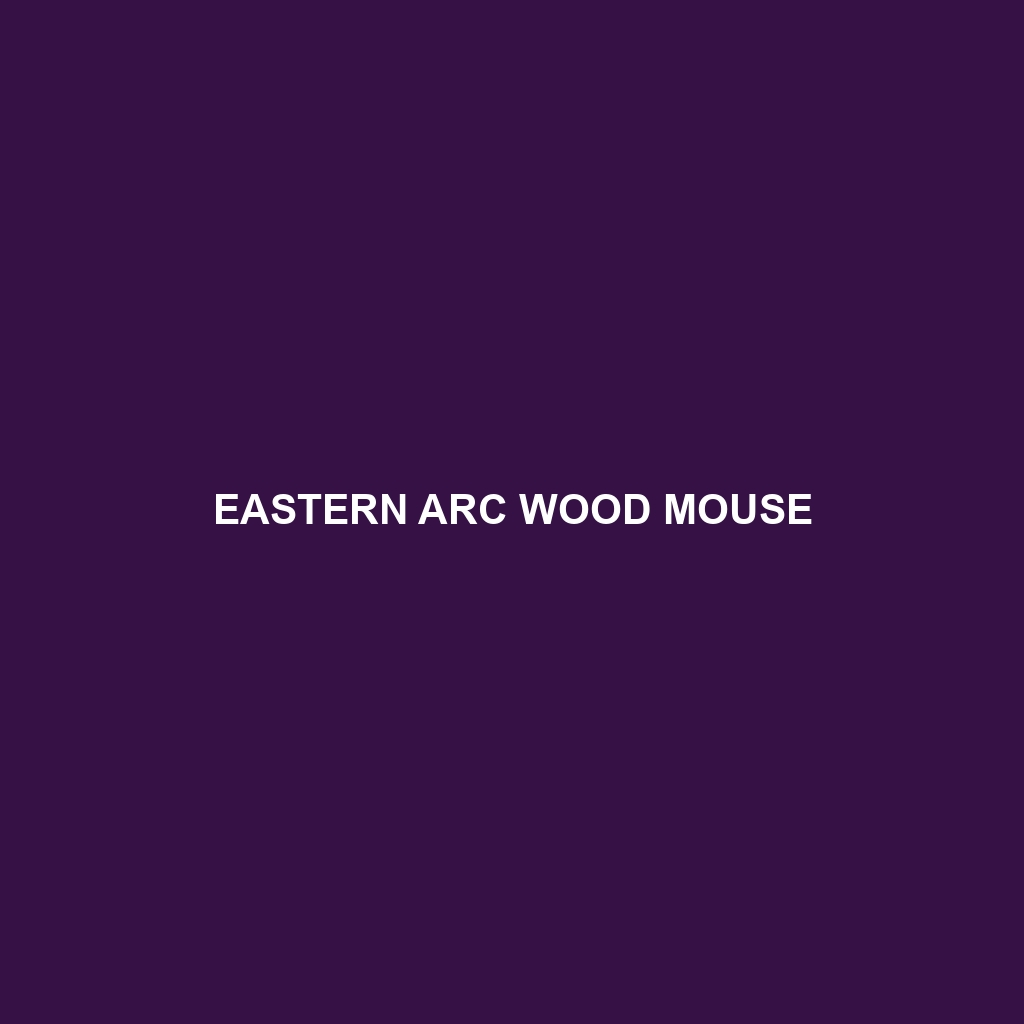 Eastern Arc Wood Mouse