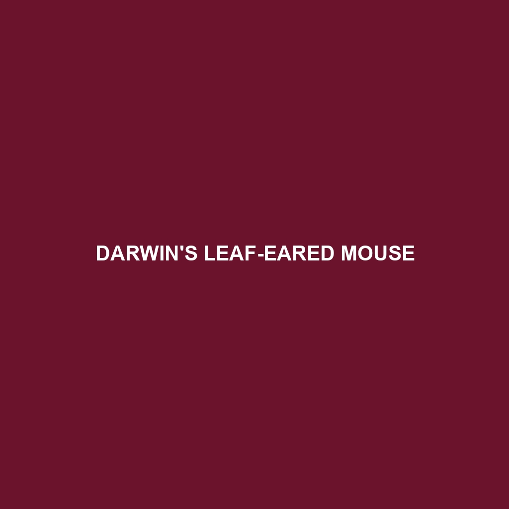 Darwin's Leaf-eared Mouse