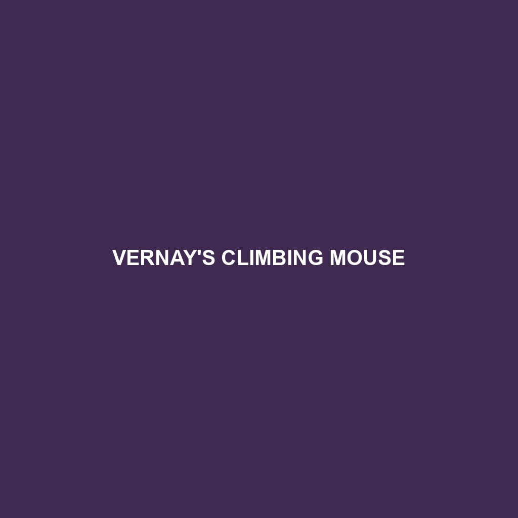 Vernay's Climbing Mouse