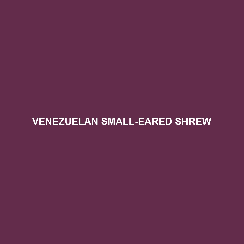 Venezuelan Small-eared Shrew