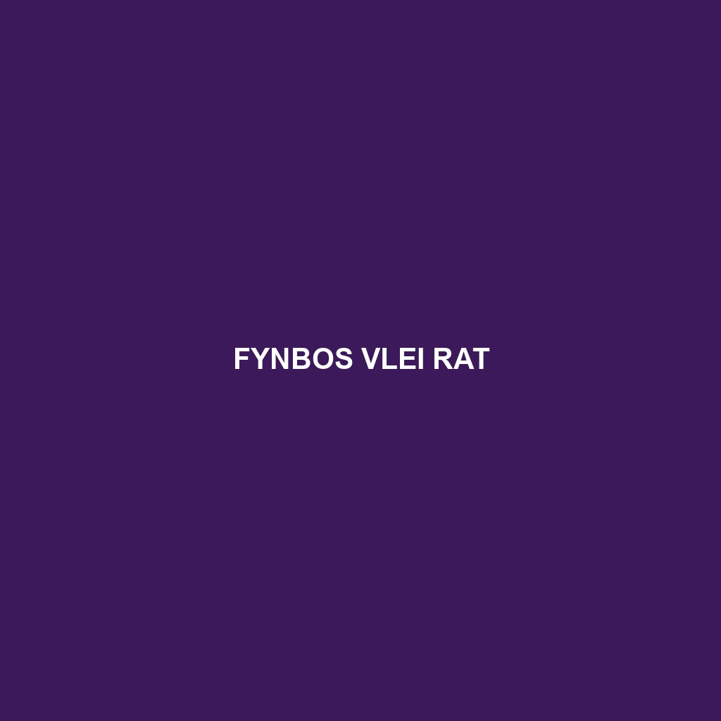 Fynbos Vlei Rat