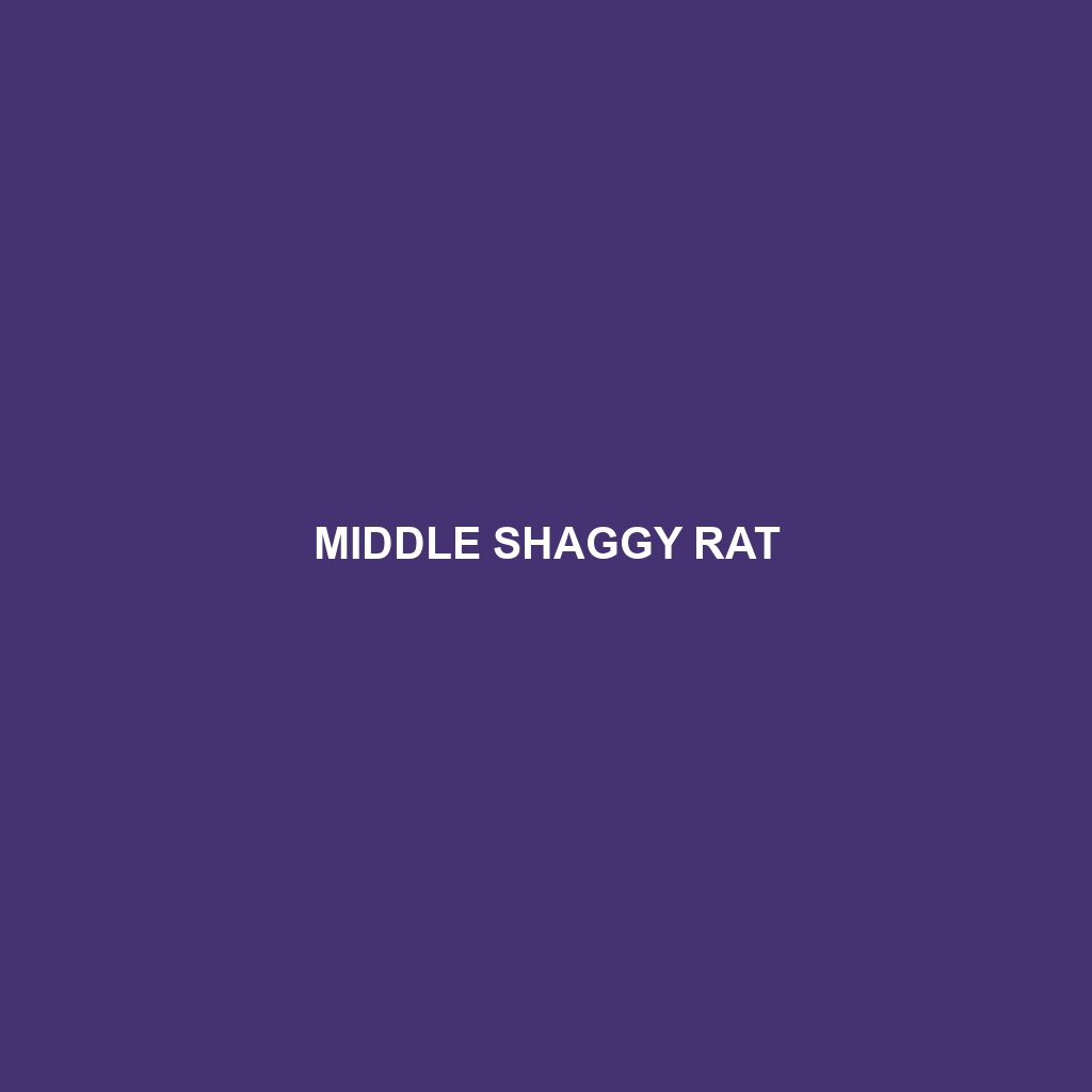 Middle Shaggy Rat