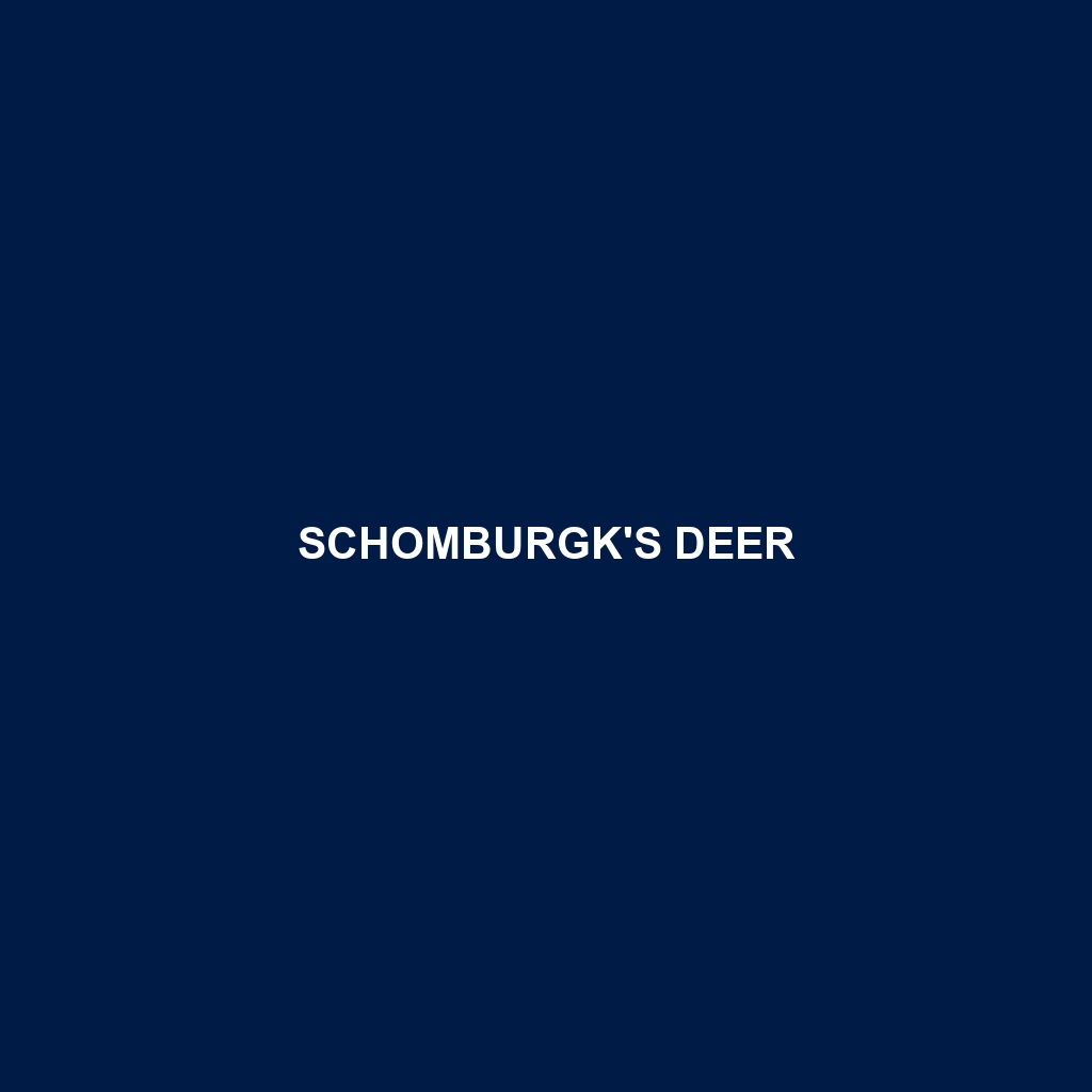 Schomburgk's Deer