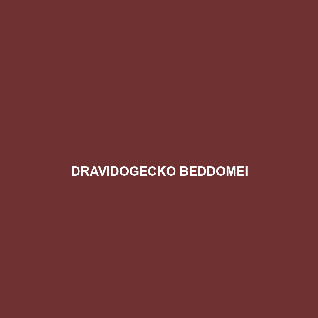 Dravidogecko beddomei