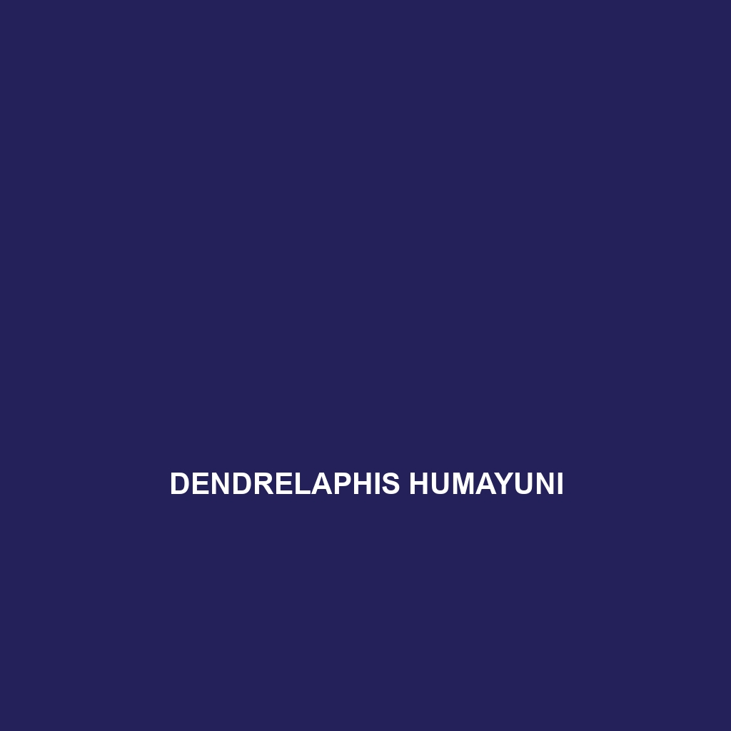 Dendrelaphis humayuni