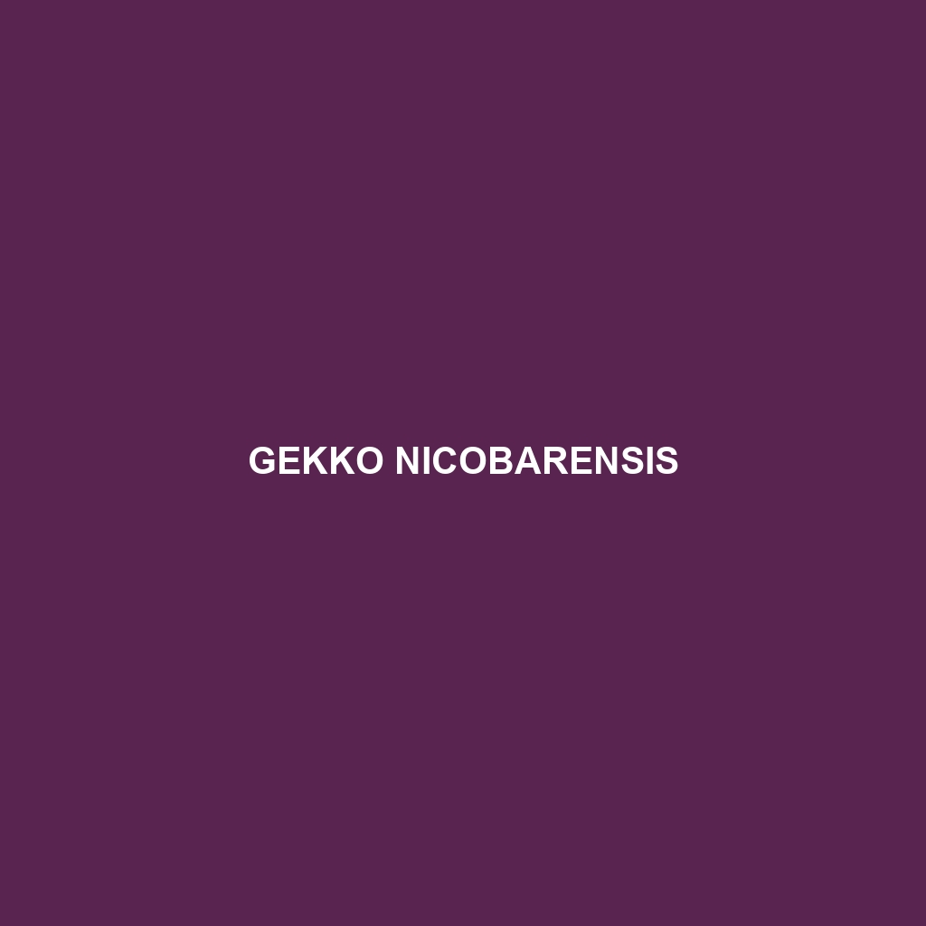 Gekko nicobarensis