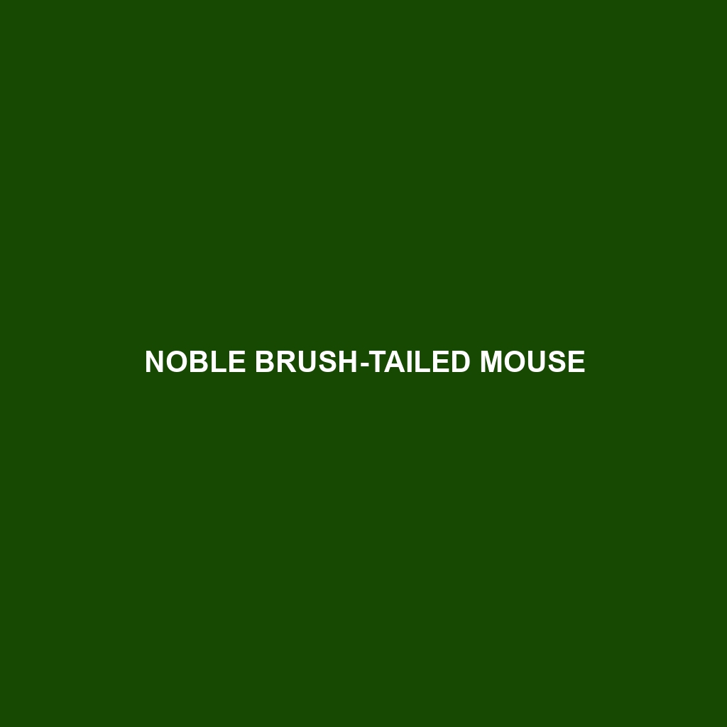 Noble Brush-tailed Mouse