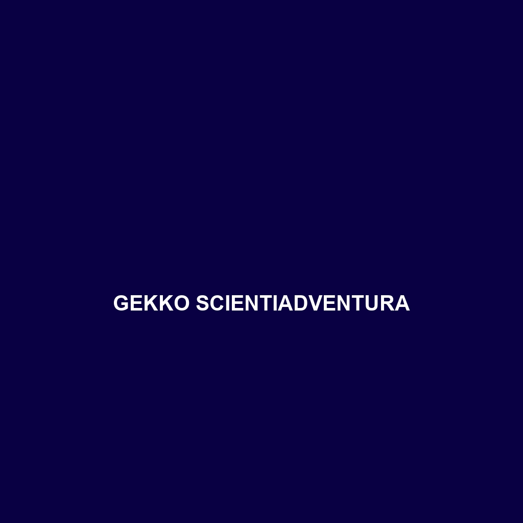 Gekko scientiadventura